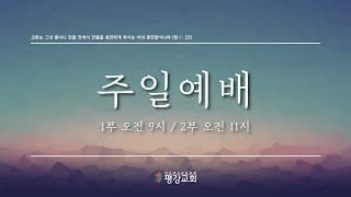 2025/01/12 평강교회 주일낮예배(디모데후서 3:12~17 "말씀회복")#평강교회이용철목사#의정부평강교회-썸네일